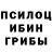 Галлюциногенные грибы Psilocybine cubensis Vanya Chechko