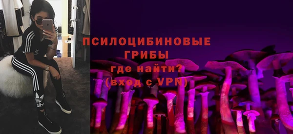 ПСИЛОЦИБИНОВЫЕ ГРИБЫ Баксан