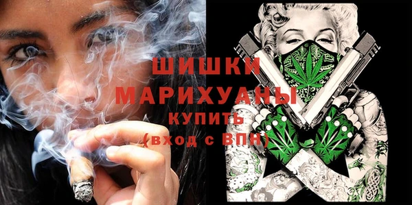 ПСИЛОЦИБИНОВЫЕ ГРИБЫ Баксан